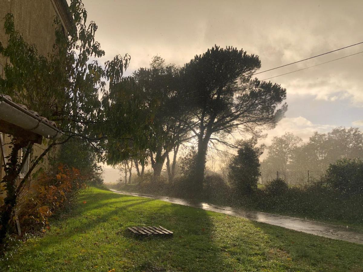 Maison Piffou Malaussanne Esterno foto